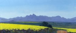 Canola Fields above Philadelphia towards Simonsberg | 2021 | Oil on Canvas | 30 x 60 cm